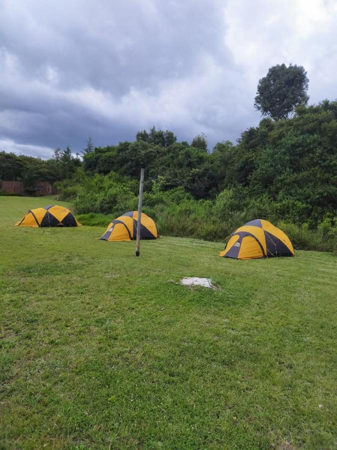 纳纽基 Camp Mahon Gardens酒店 外观 照片