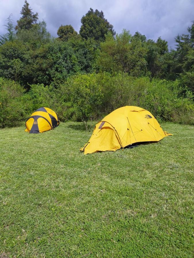纳纽基 Camp Mahon Gardens酒店 外观 照片