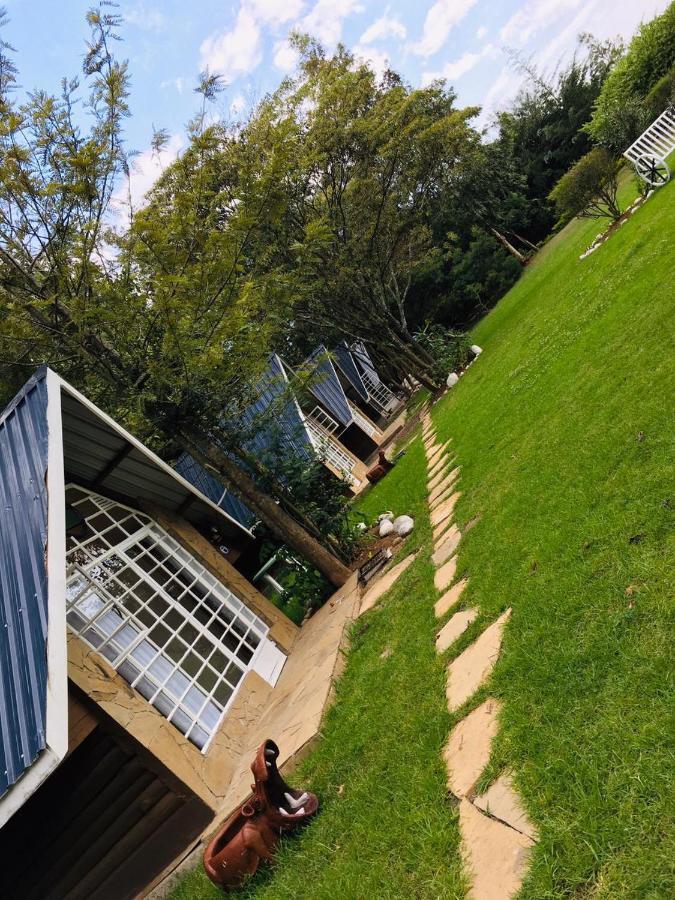 纳纽基 Camp Mahon Gardens酒店 外观 照片