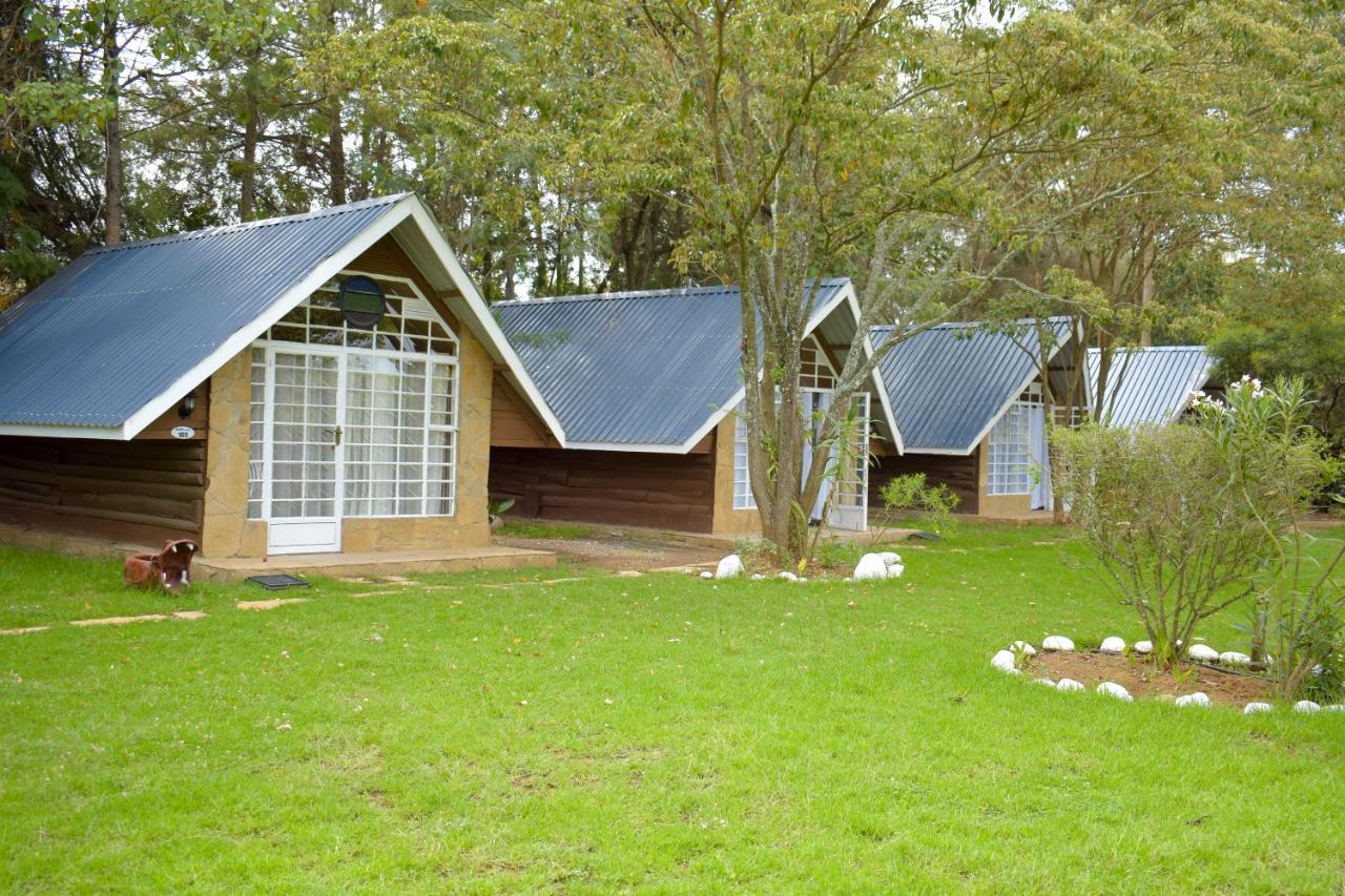 纳纽基 Camp Mahon Gardens酒店 外观 照片