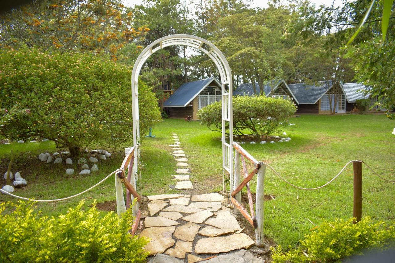 纳纽基 Camp Mahon Gardens酒店 外观 照片
