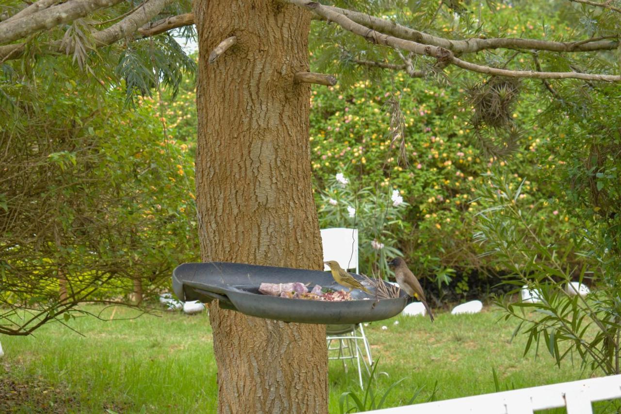 纳纽基 Camp Mahon Gardens酒店 外观 照片