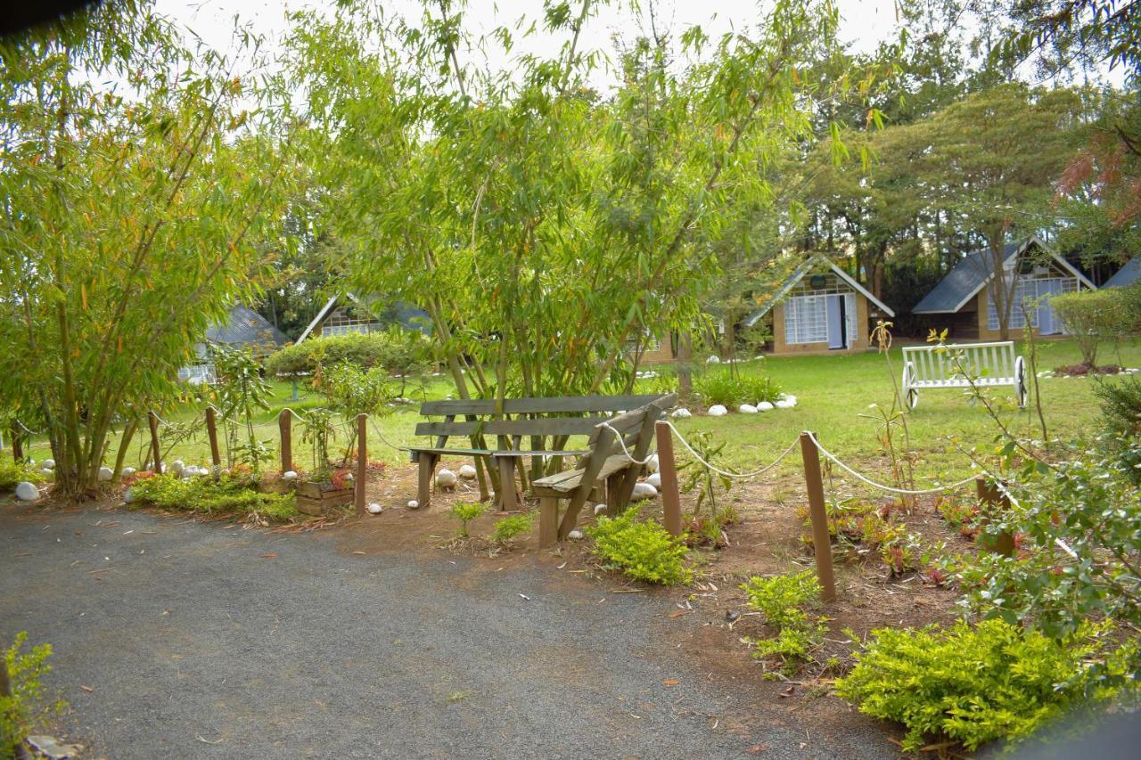纳纽基 Camp Mahon Gardens酒店 外观 照片